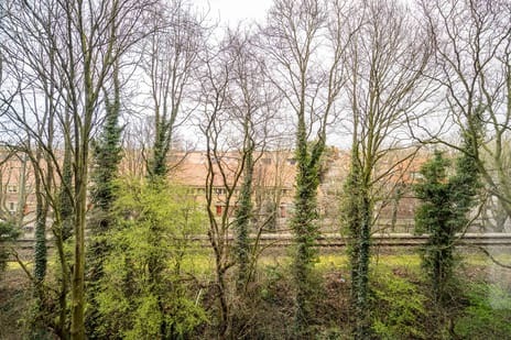 Mangoweg 31 tertiary image