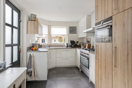 Lamberg 9 tertiary image