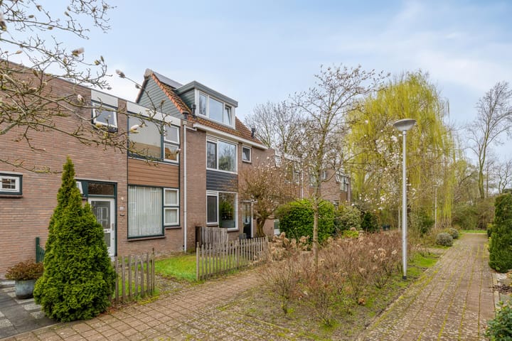 Volkerak 46 main image