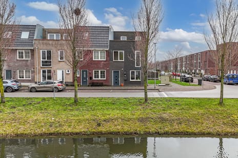 undefined main image