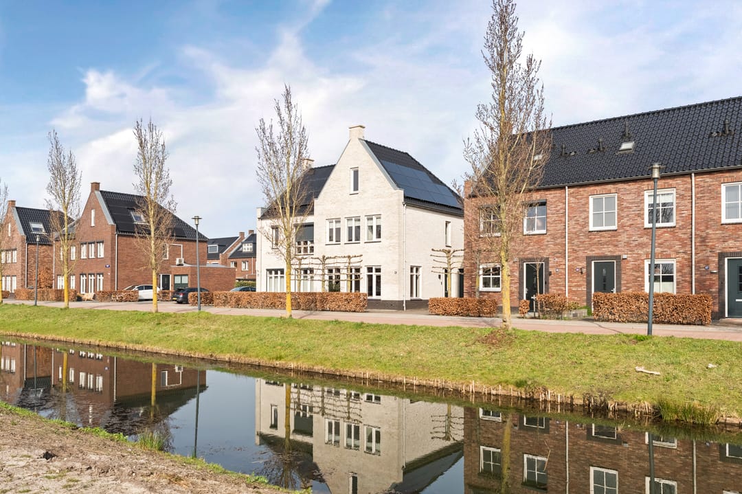 Photo 62 of Wadloper 51