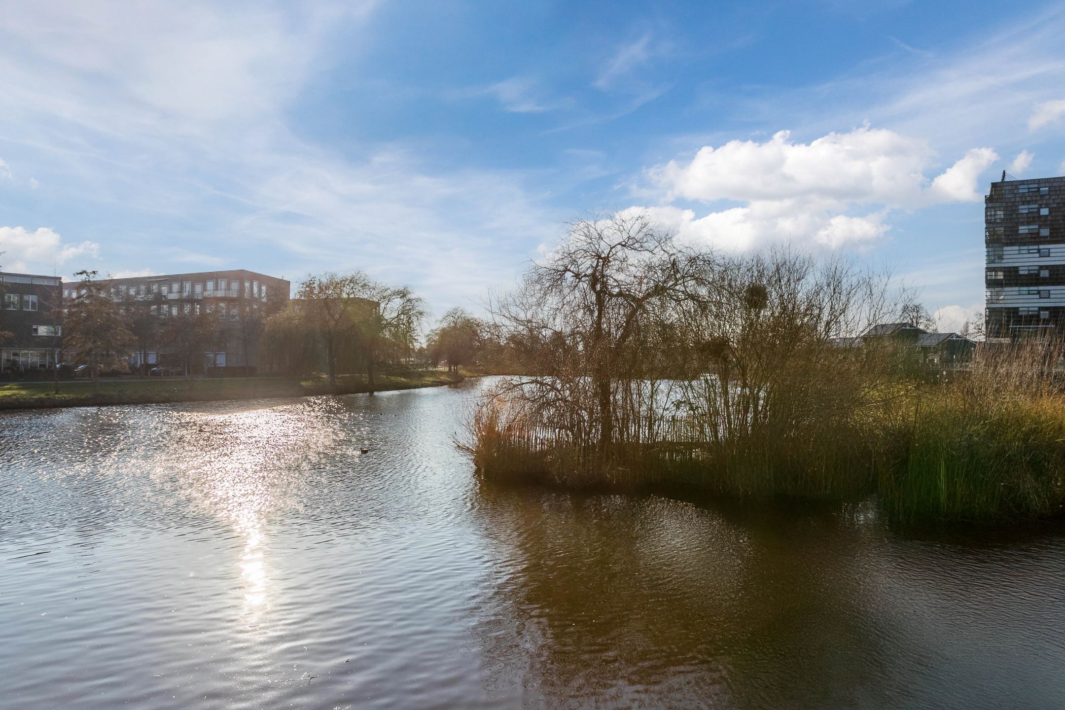 Foto 42 van Werkerlaan 45