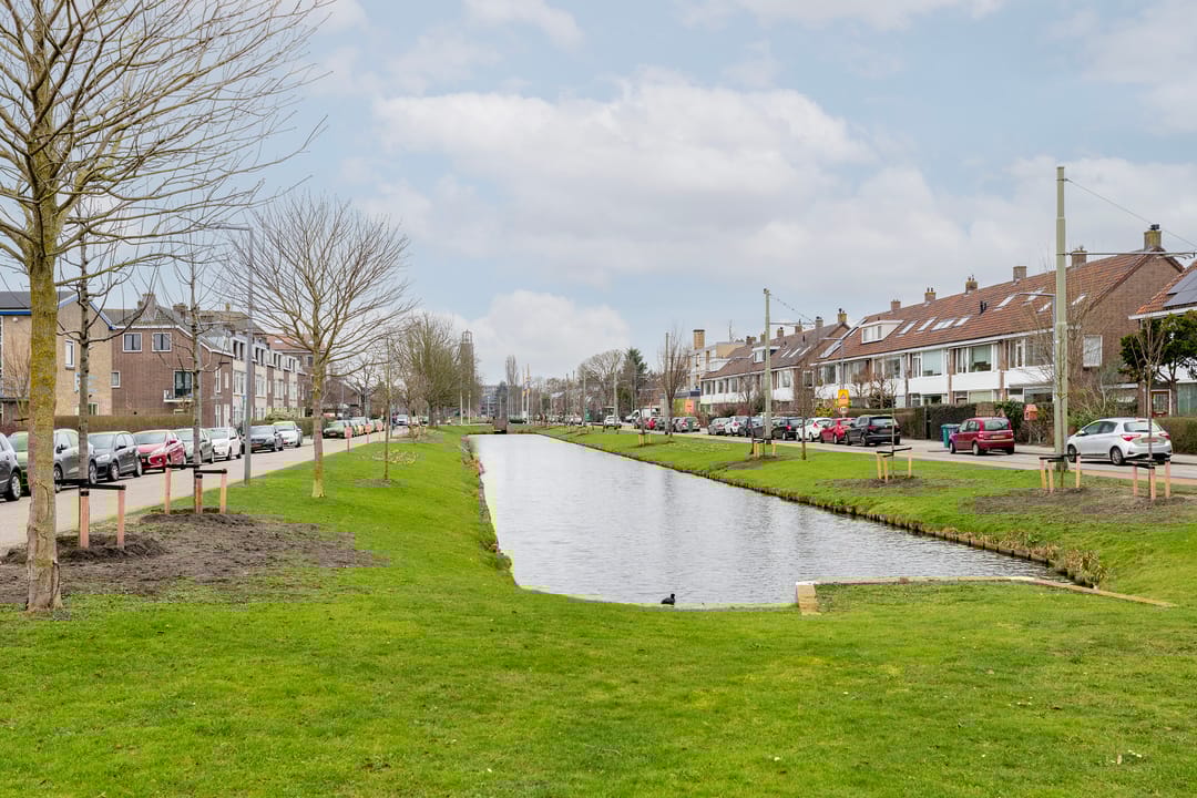 Foto 43 van Ribeslaan 75