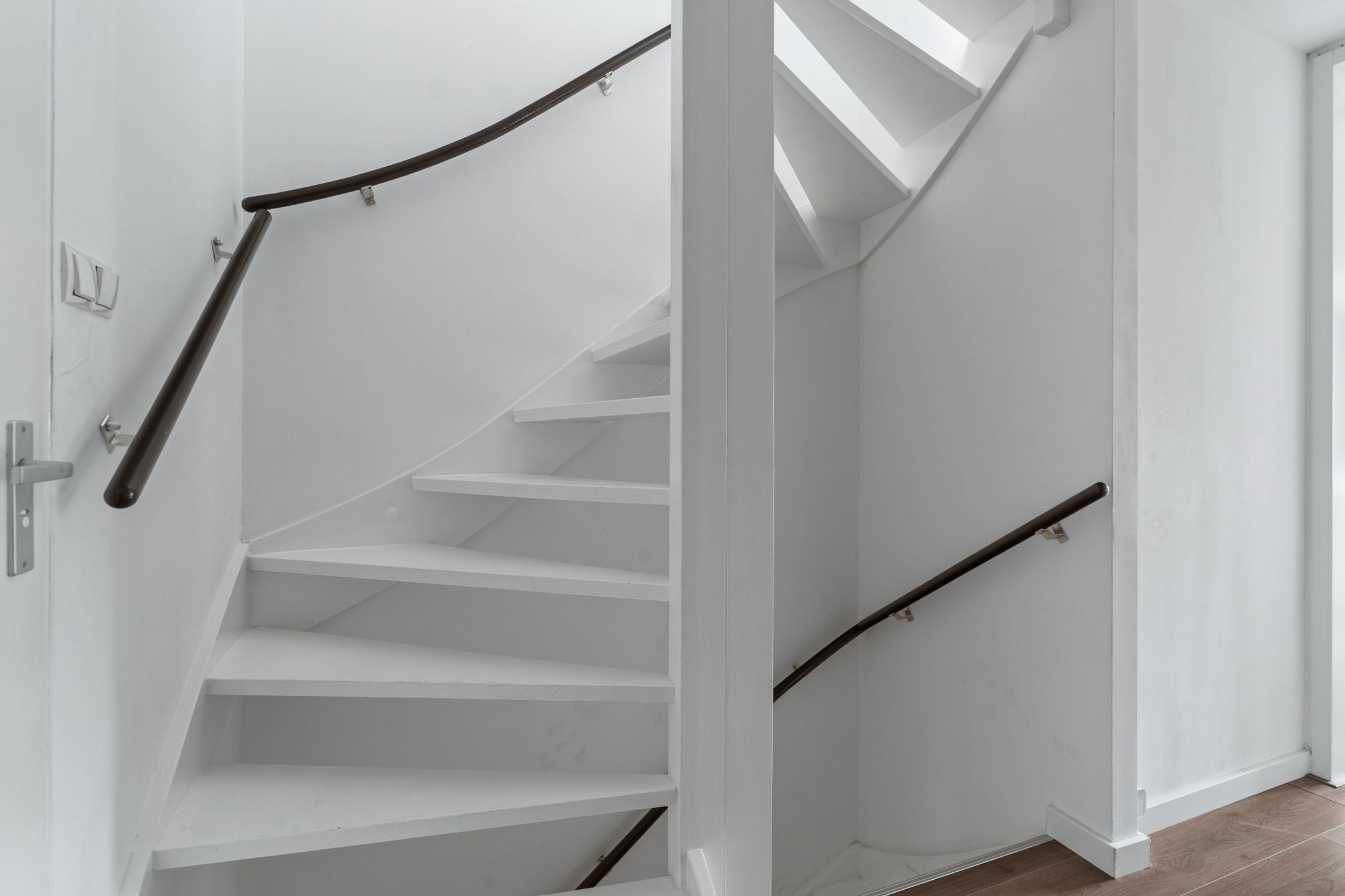 Foto 18 van Zilverfazant 2