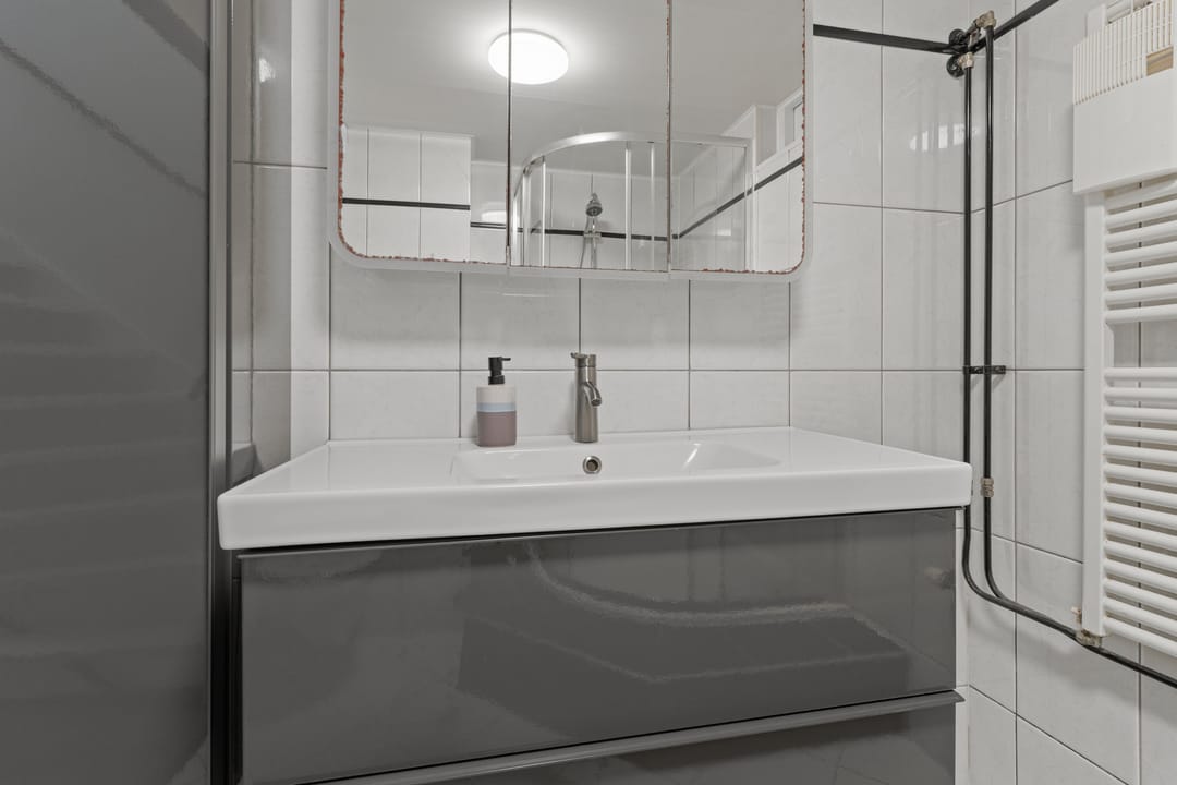 Foto 26 van Zilverfazant 2