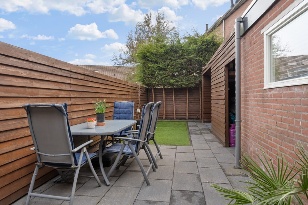 Foto 32 van Zilverfazant 2