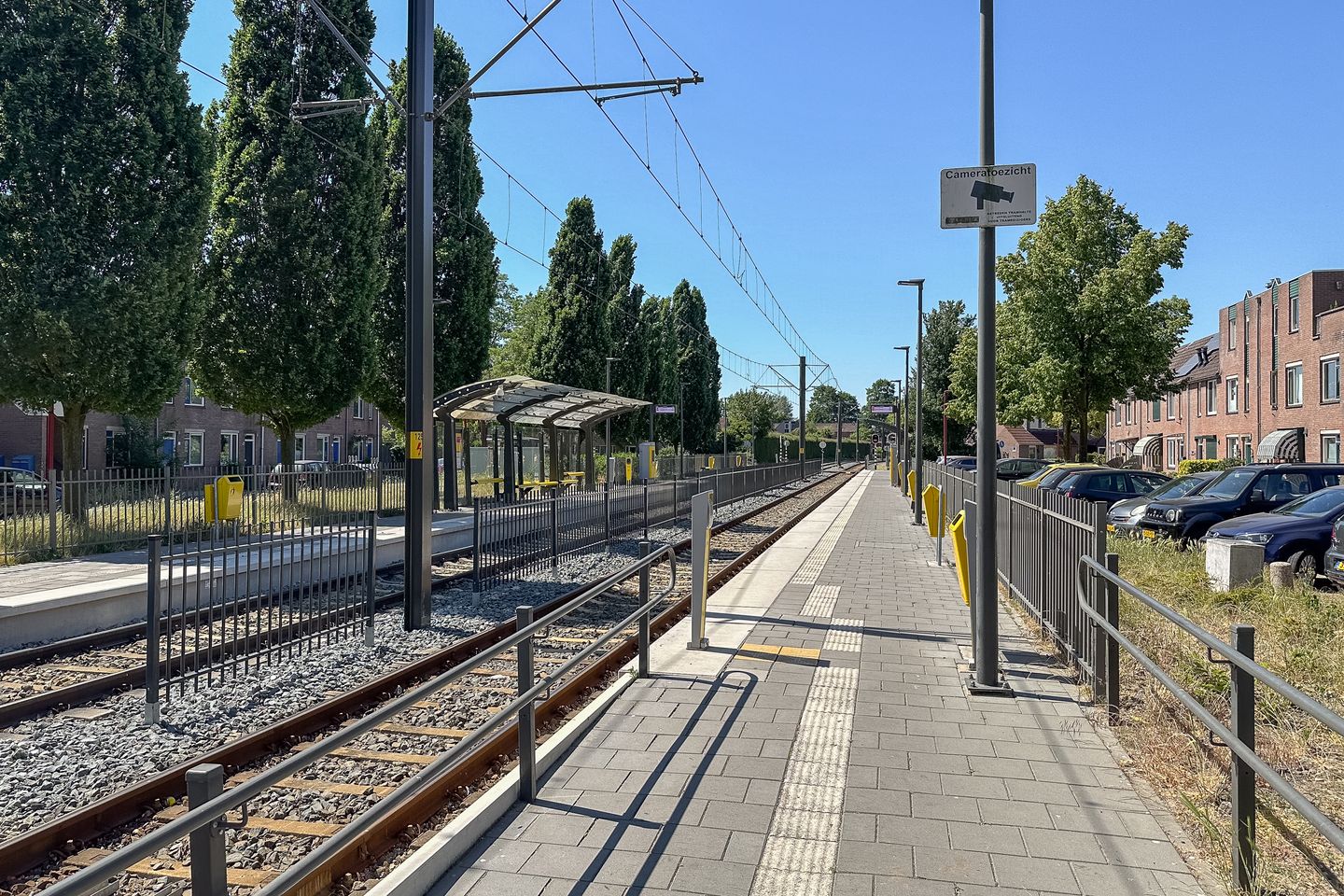 Foto 35 van Zilverfazant 2