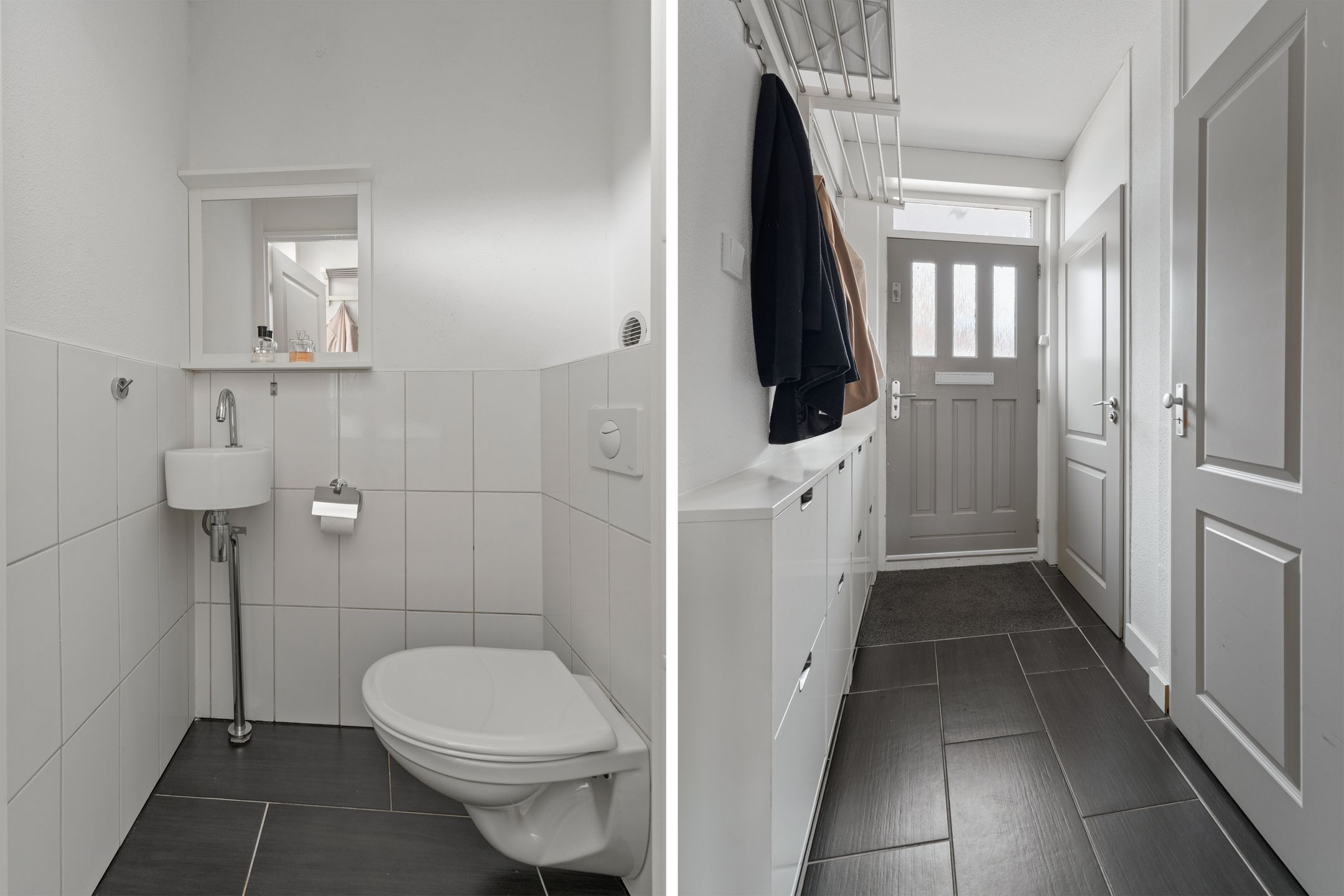 Foto 6 van Zilverfazant 2