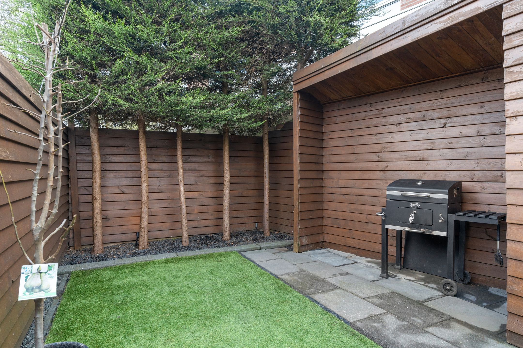 Foto 33 van Zilverfazant 2