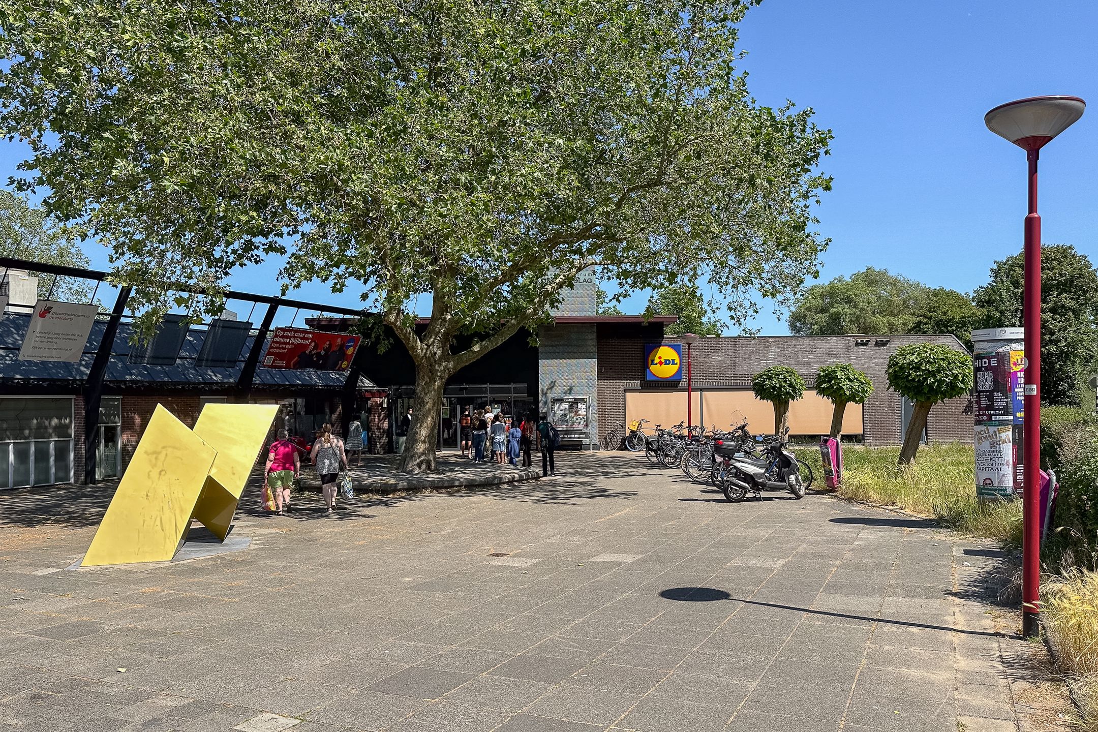 Foto 36 van Zilverfazant 2