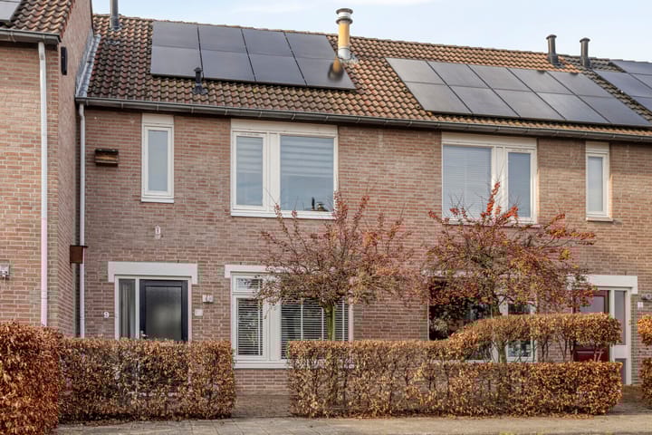 Lamberg 9 main image