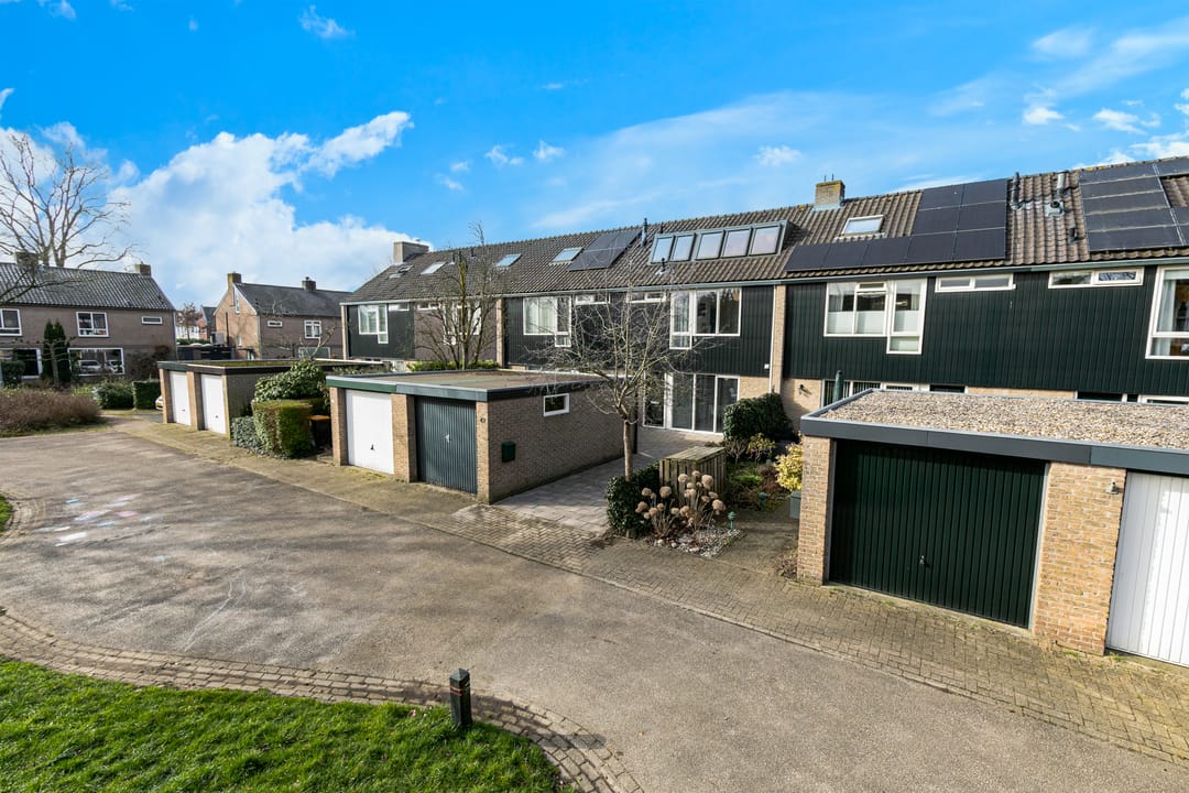 Foto 1 van Ridderspoor 47