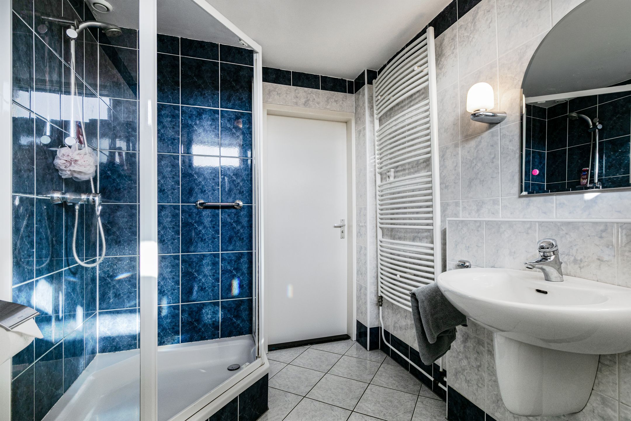 Foto 18 van Ridderspoor 47