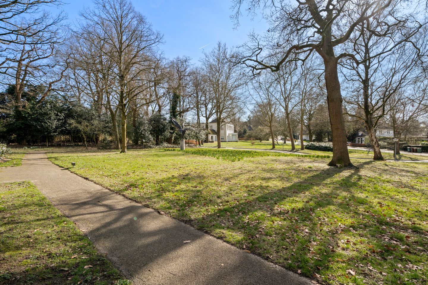 Foto 4 van De Hooge Vlucht 3