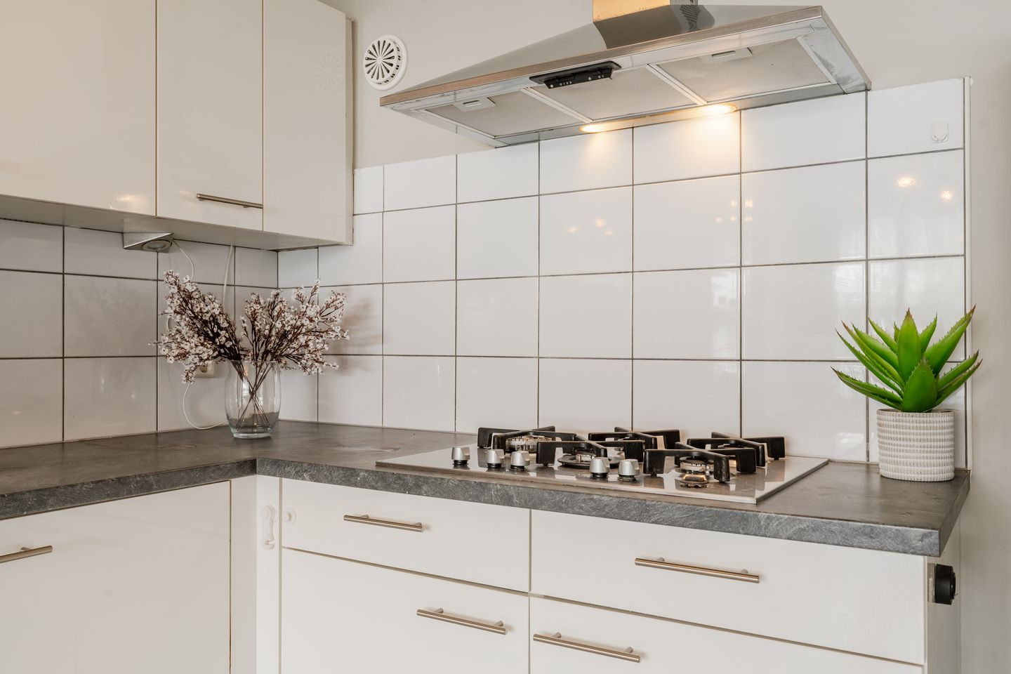 Foto 19 van Sint Janskruid 78