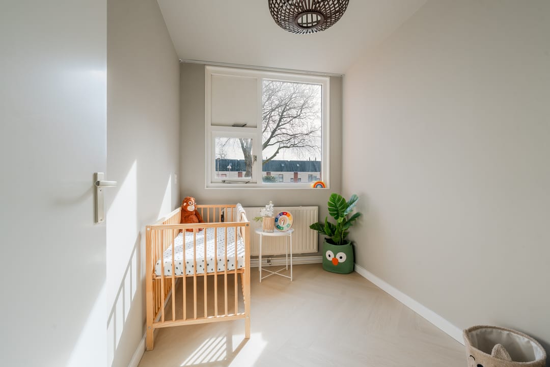 Foto 31 van Sint Janskruid 78