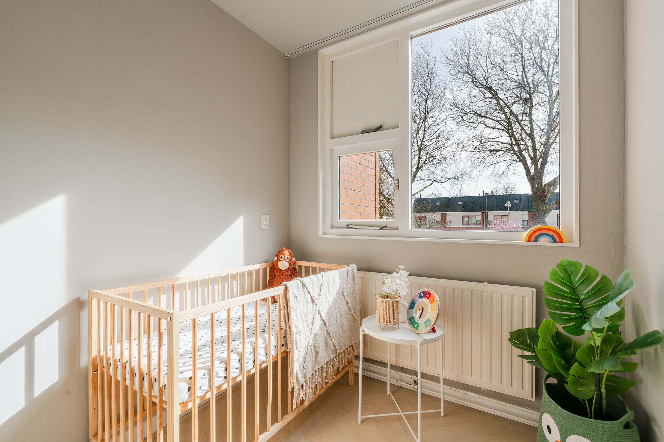 Foto 33 van Sint Janskruid 78