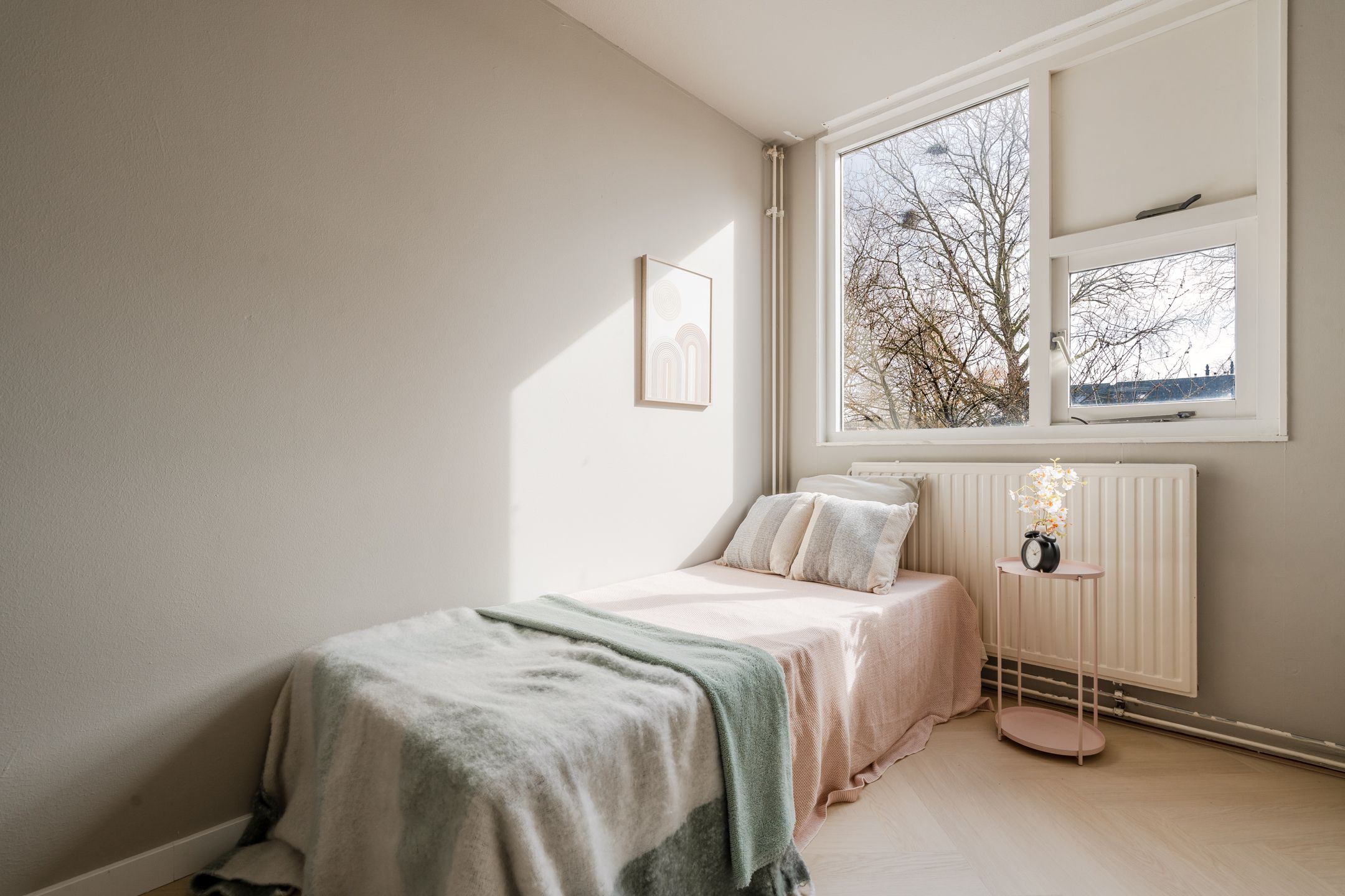 Foto 36 van Sint Janskruid 78