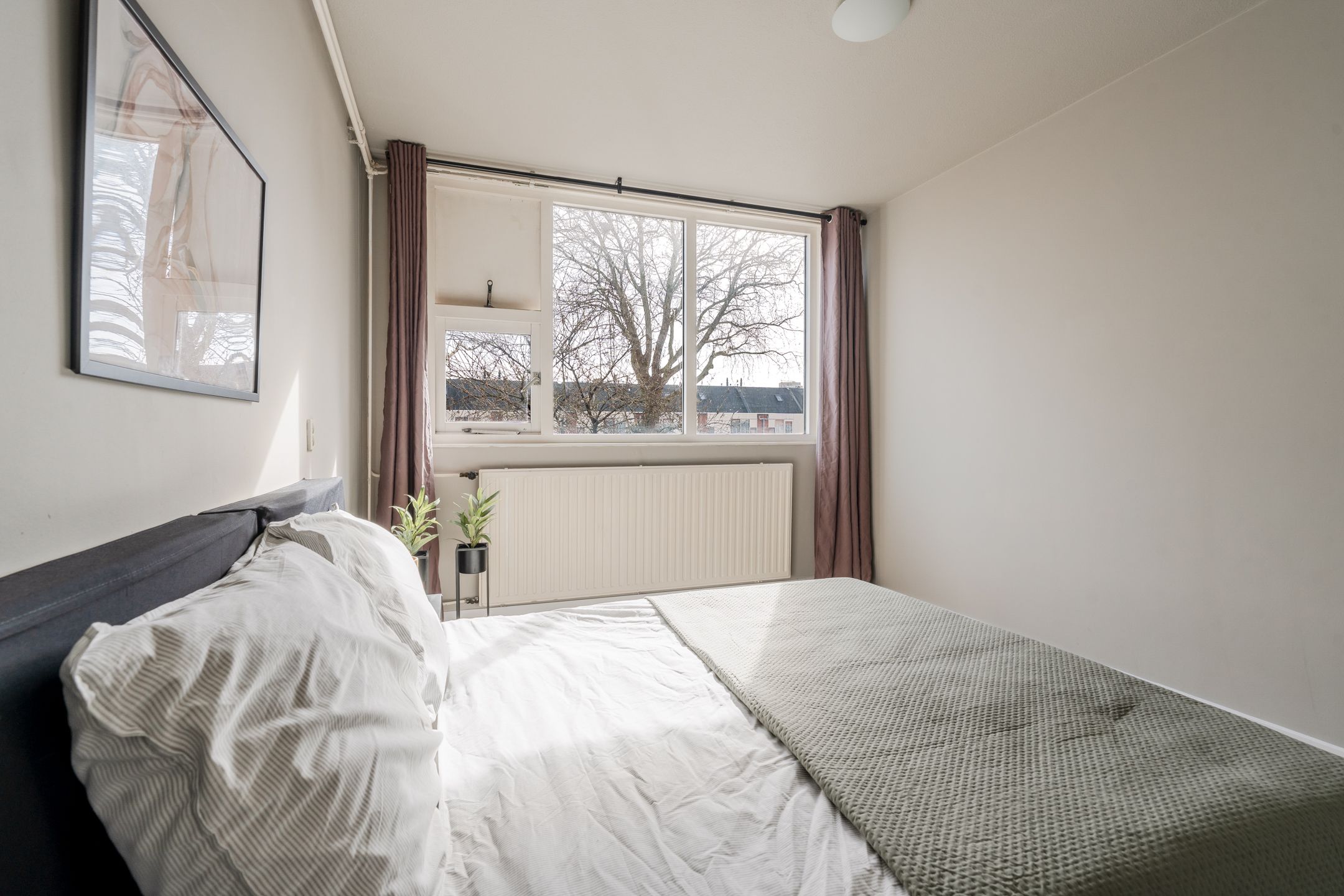 Foto 39 van Sint Janskruid 78