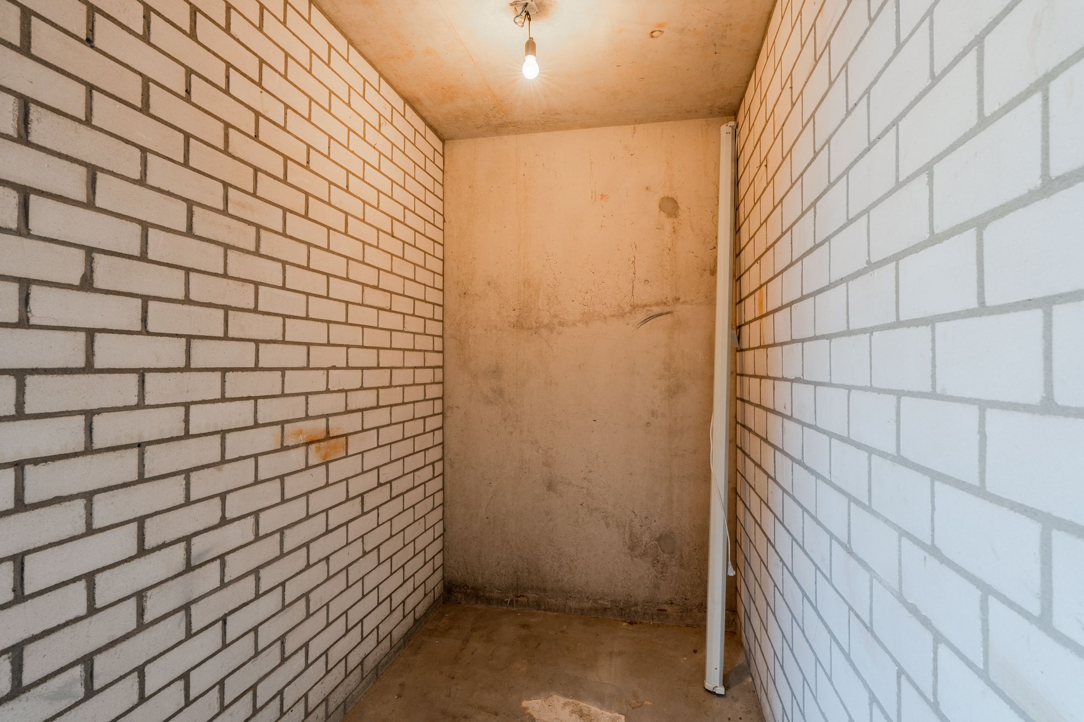 Foto 48 van Sint Janskruid 78