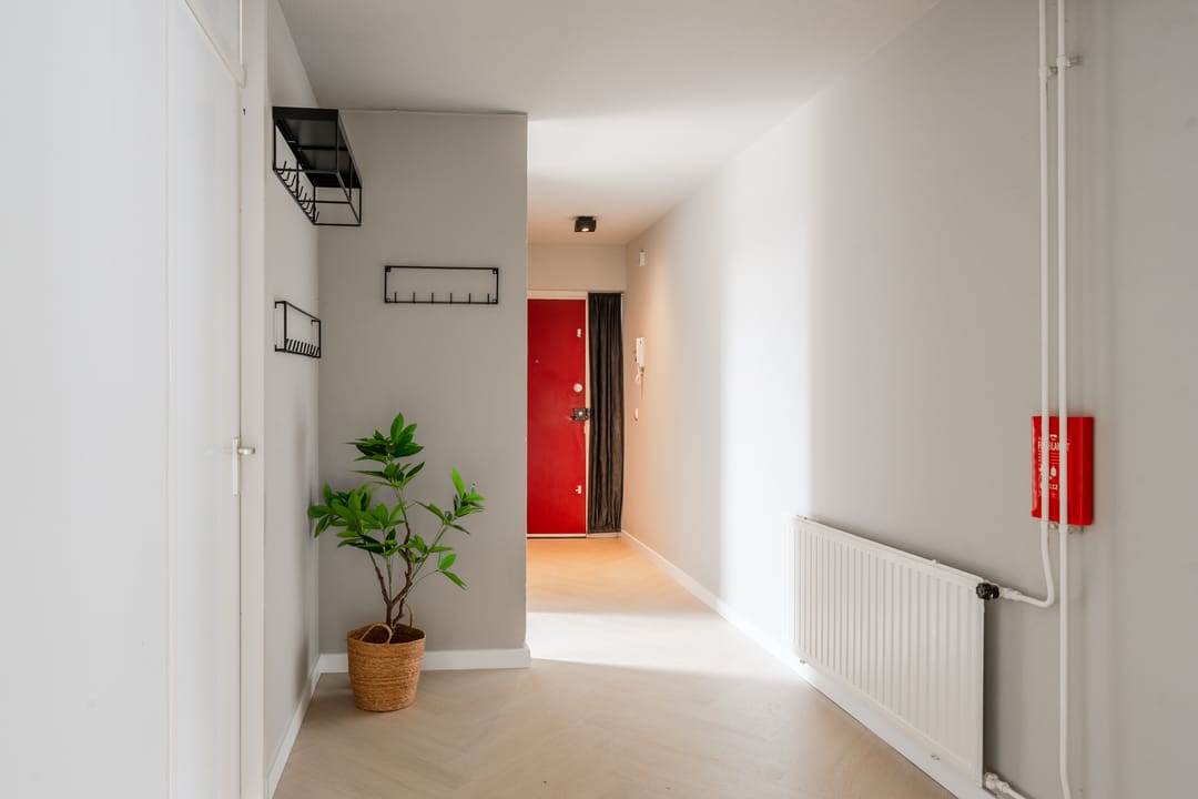 Foto 46 van Sint Janskruid 78