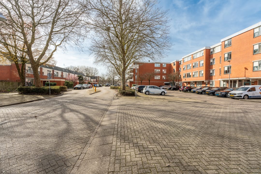 Foto 53 van Sint Janskruid 78