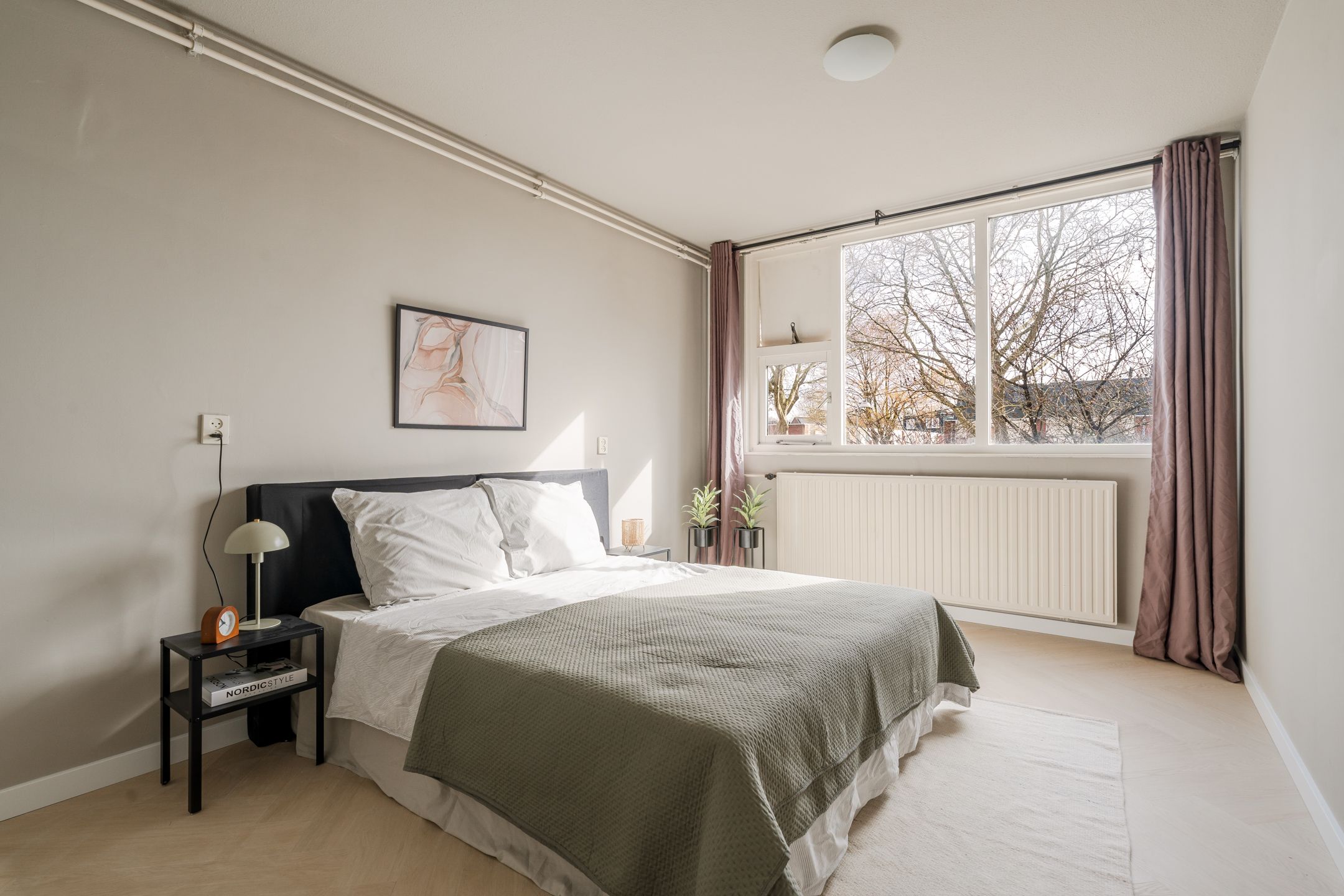 Foto 3 van Sint Janskruid 78