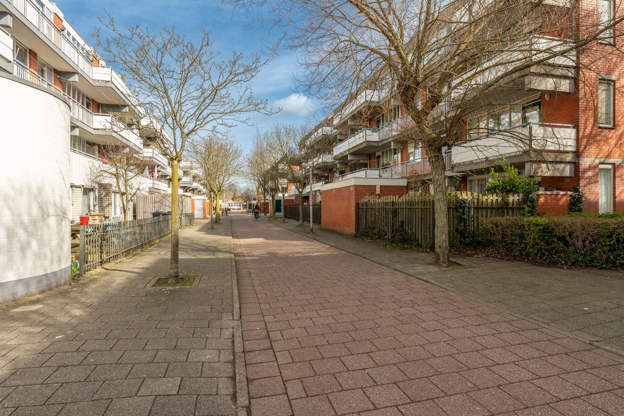 Foto 54 van Sint Janskruid 78