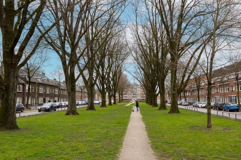 Photo 40 of Cornelis Dirkszstraat 15