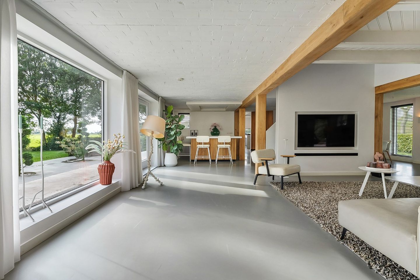 Photo 4 of Kikkerij 1