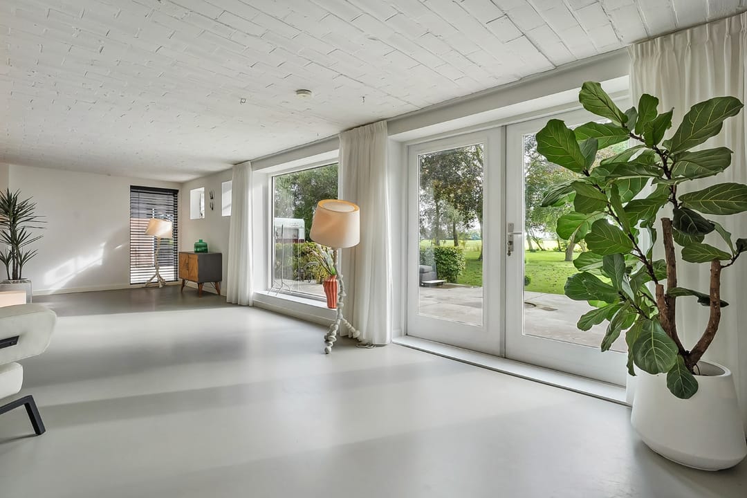 Photo 8 of Kikkerij 1