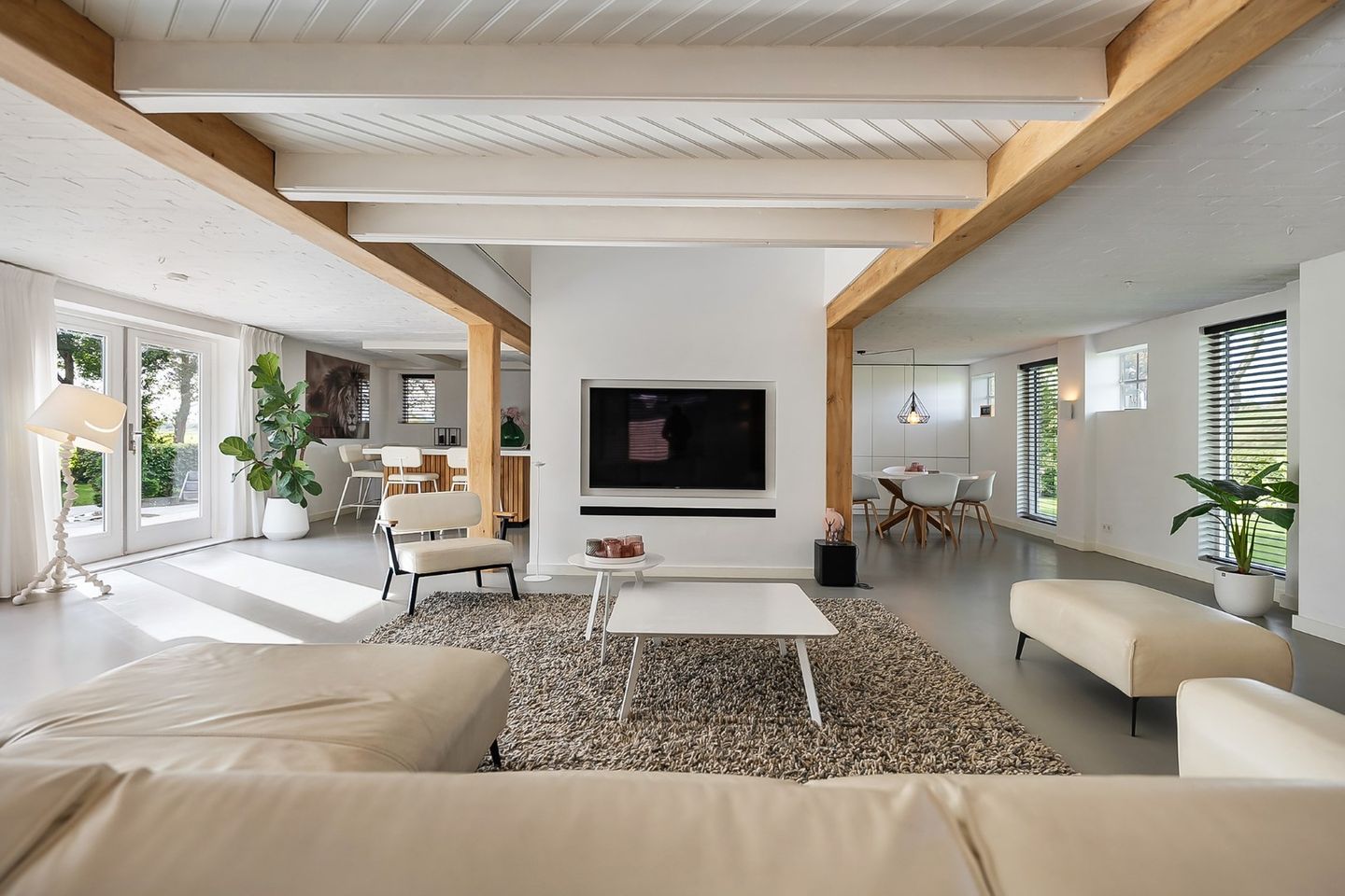 Photo 19 of Kikkerij 1