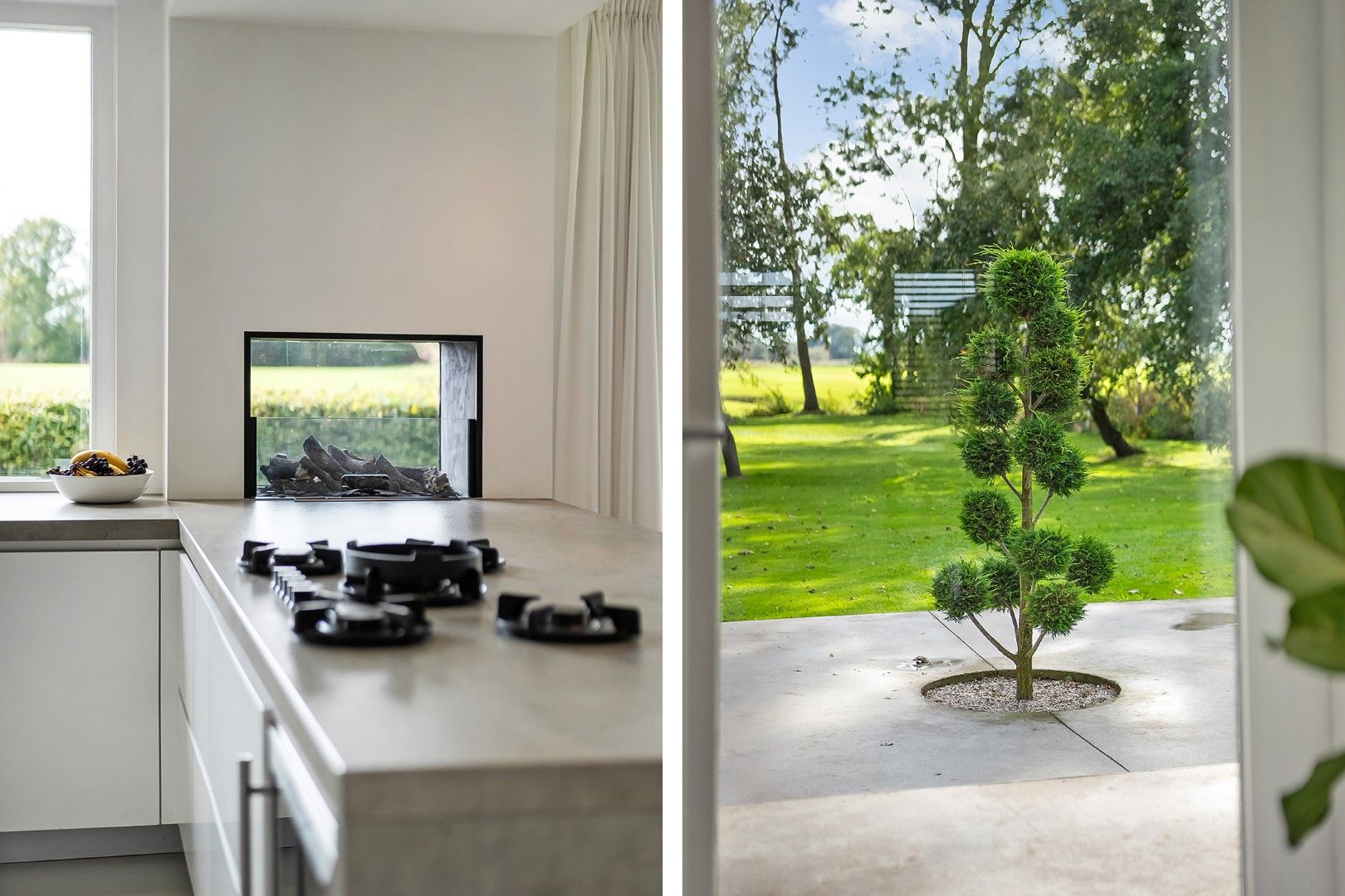 Photo 27 of Kikkerij 1