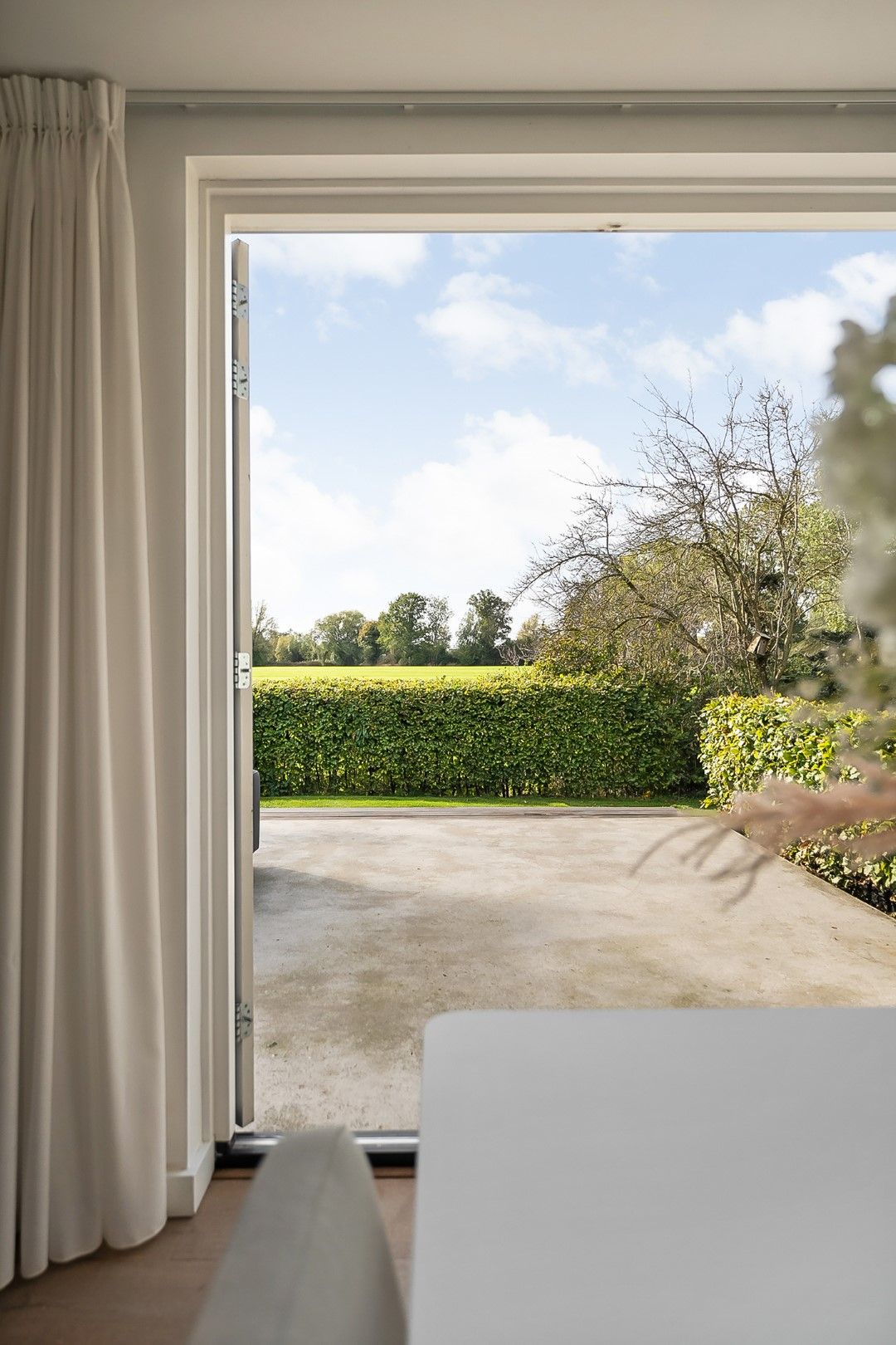 Photo 30 of Kikkerij 1