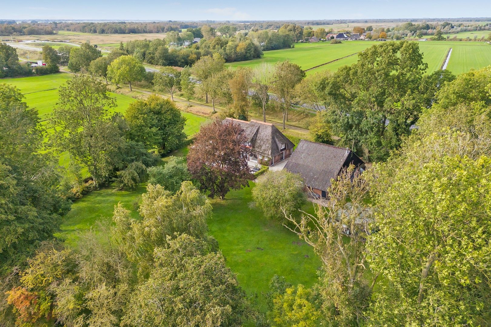 Photo 39 of Kikkerij 1