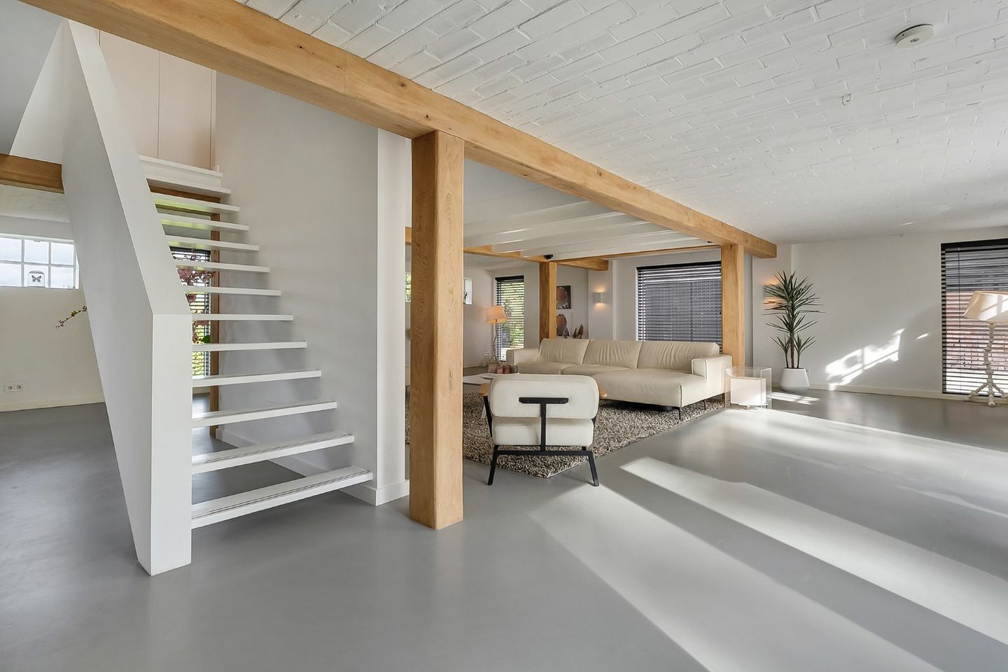 Photo 34 of Kikkerij 1