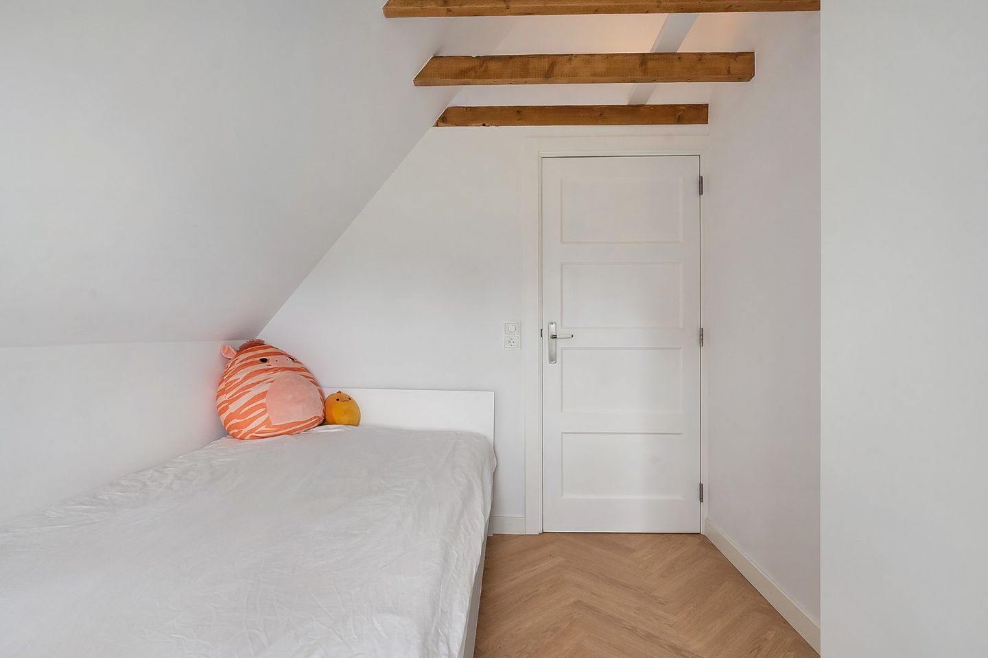 Photo 50 of Kikkerij 1