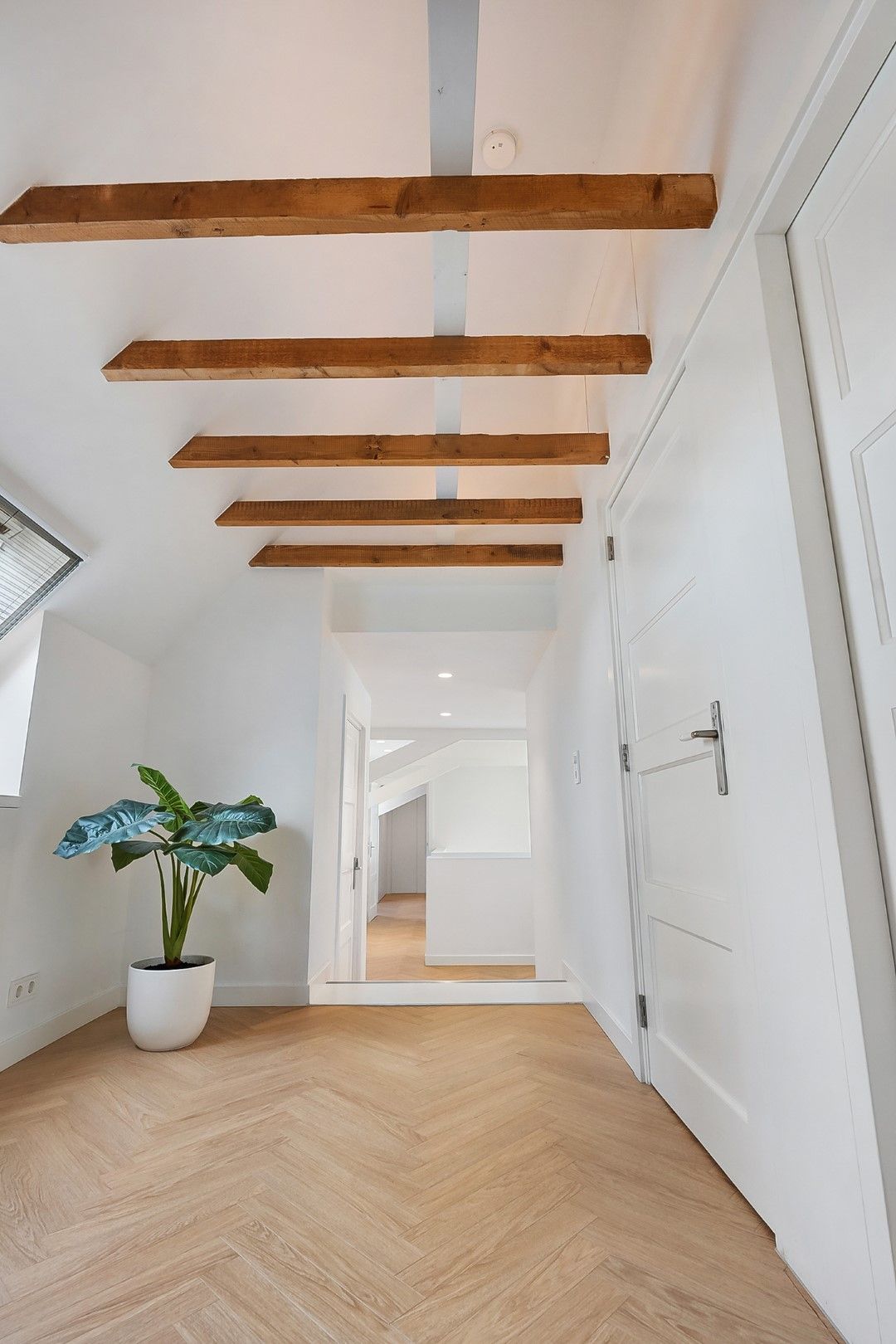 Photo 53 of Kikkerij 1