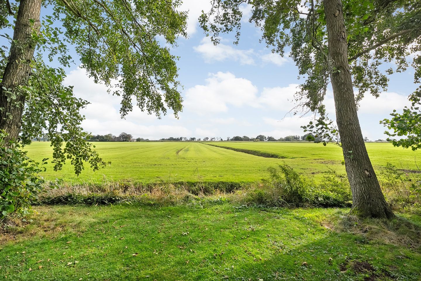 Photo 64 of Kikkerij 1