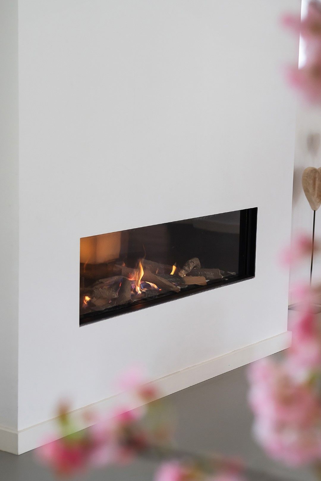 Photo 20 of Kikkerij 1