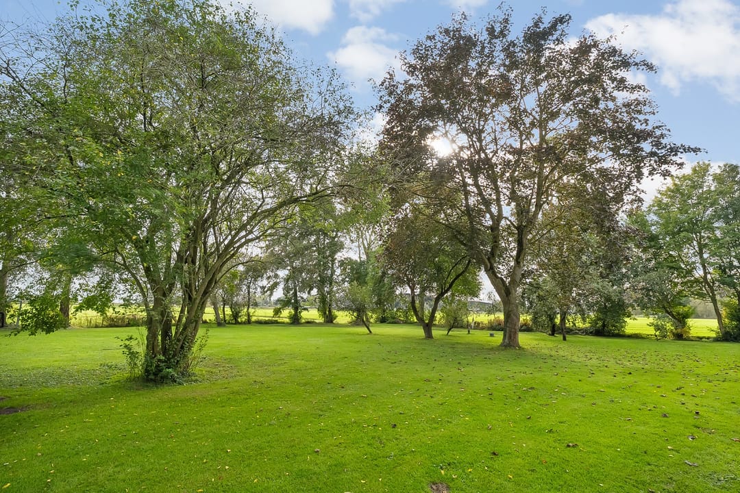 Photo 68 of Kikkerij 1