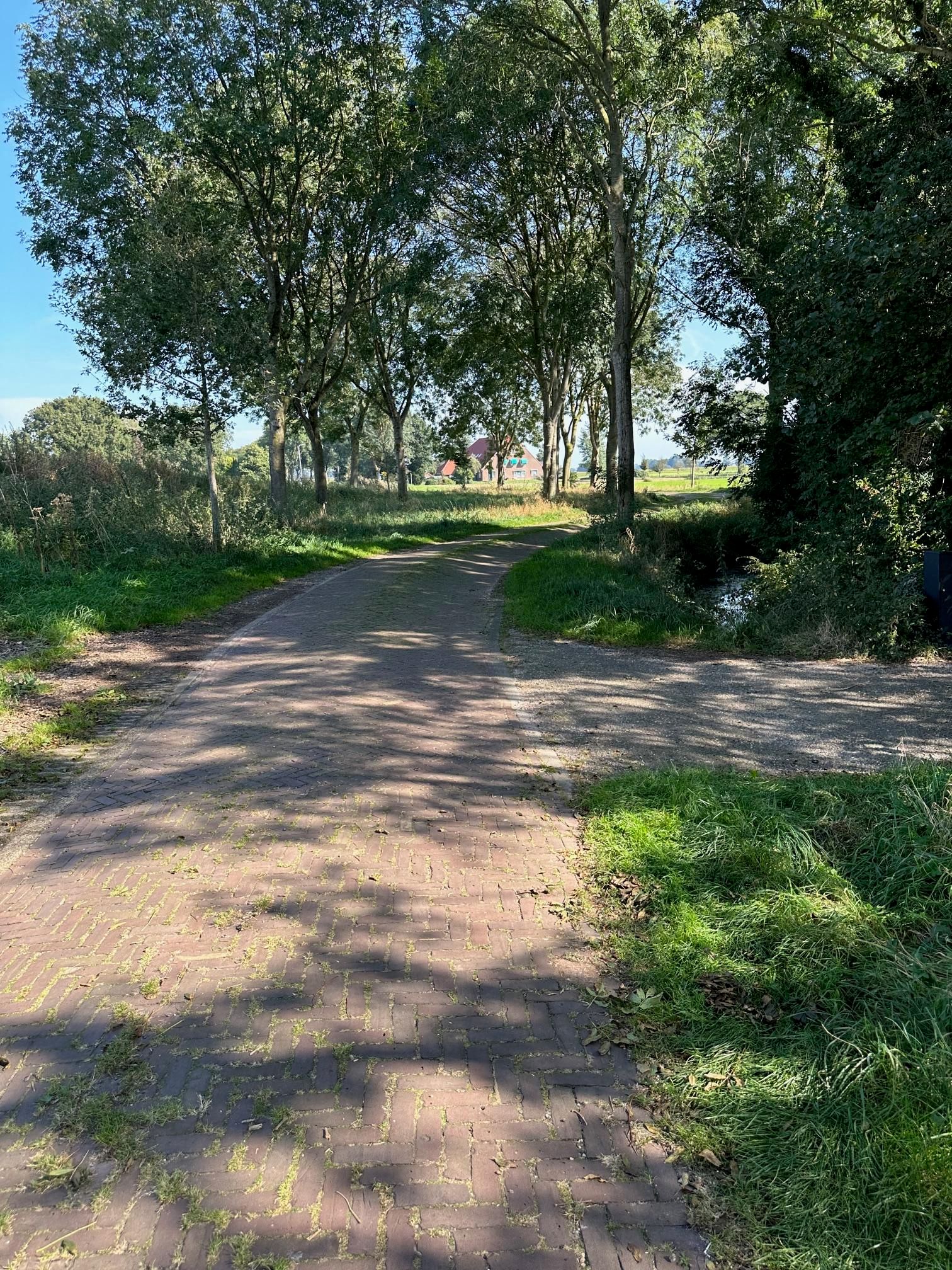 Photo 75 of Kikkerij 1