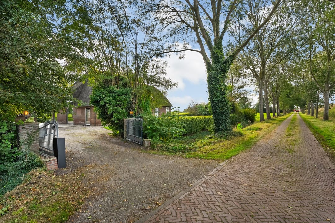 Photo 76 of Kikkerij 1