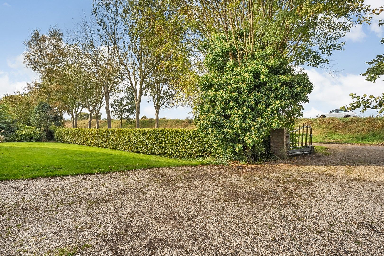 Photo 78 of Kikkerij 1