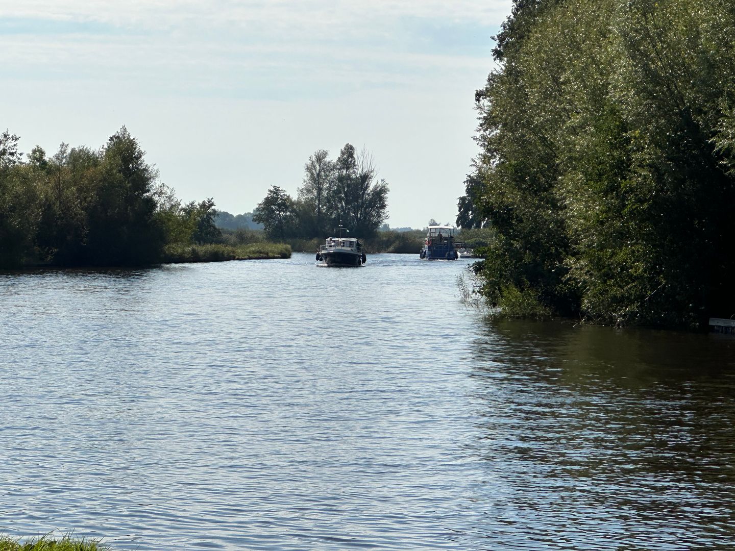 Photo 80 of Kikkerij 1