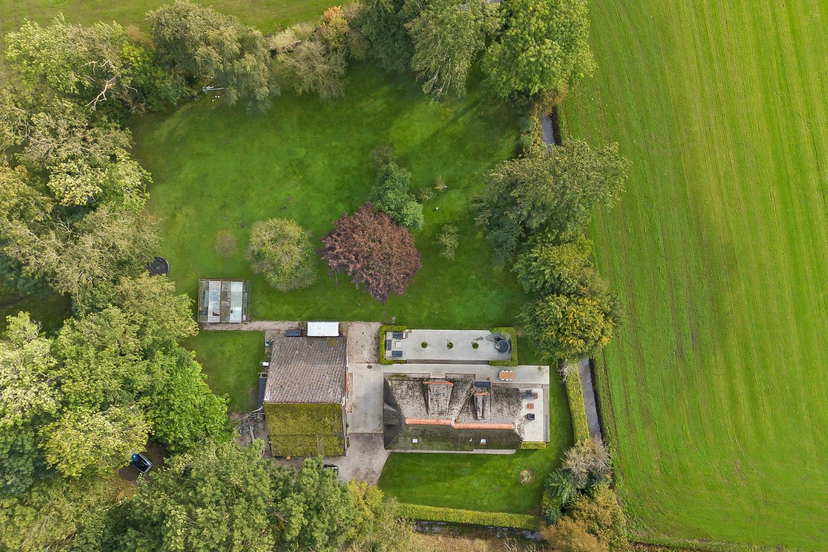 Photo 81 of Kikkerij 1