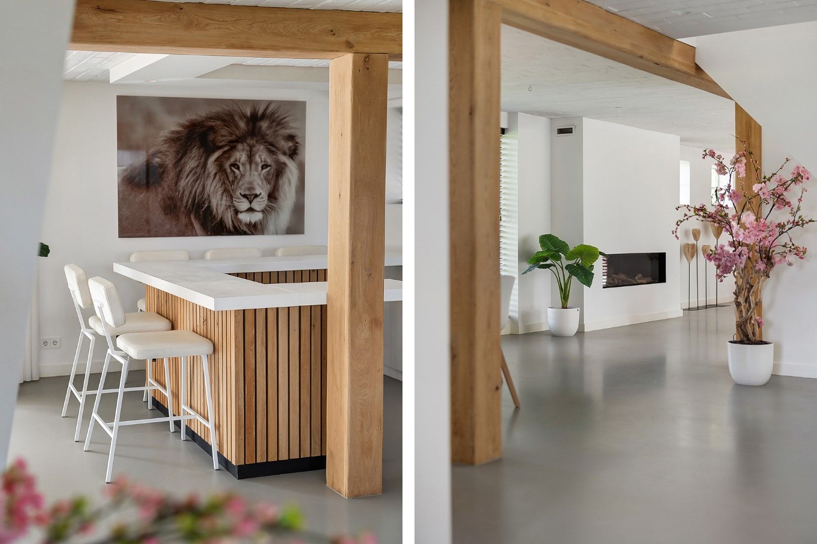 Photo 18 of Kikkerij 1