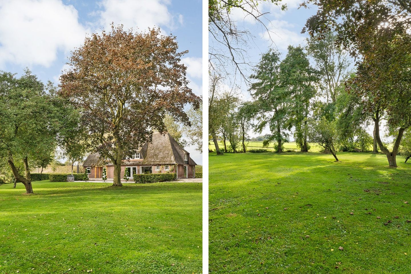 Photo 65 of Kikkerij 1