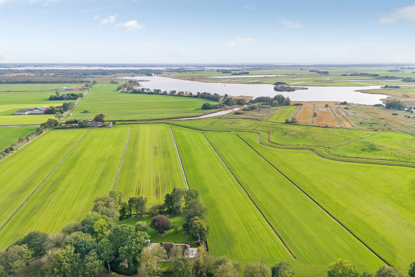 Photo 5 of Kikkerij 1