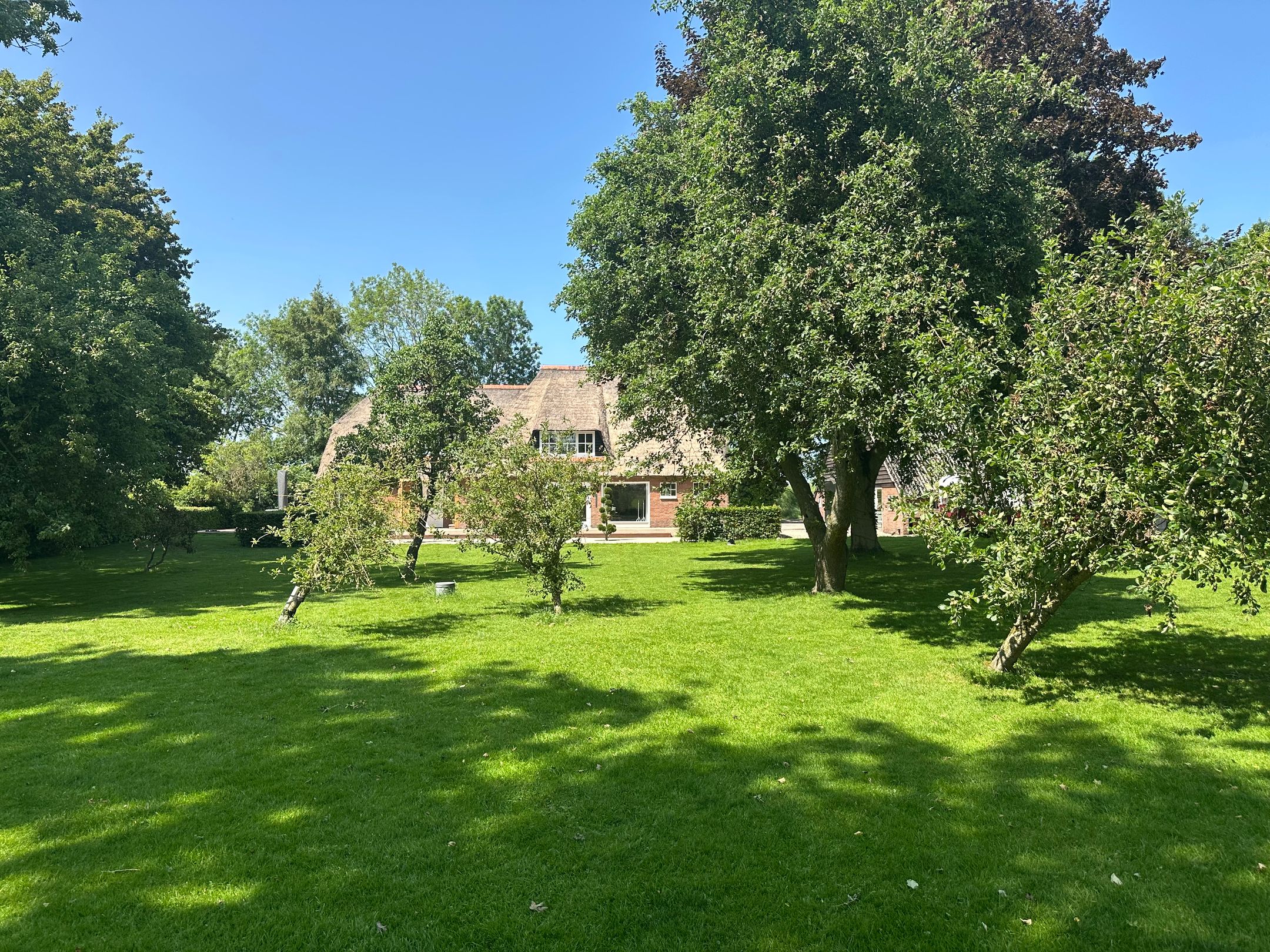 Photo 63 of Kikkerij 1